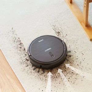 Robot Cleaner
