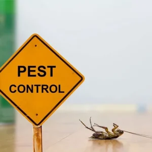 Pest Control